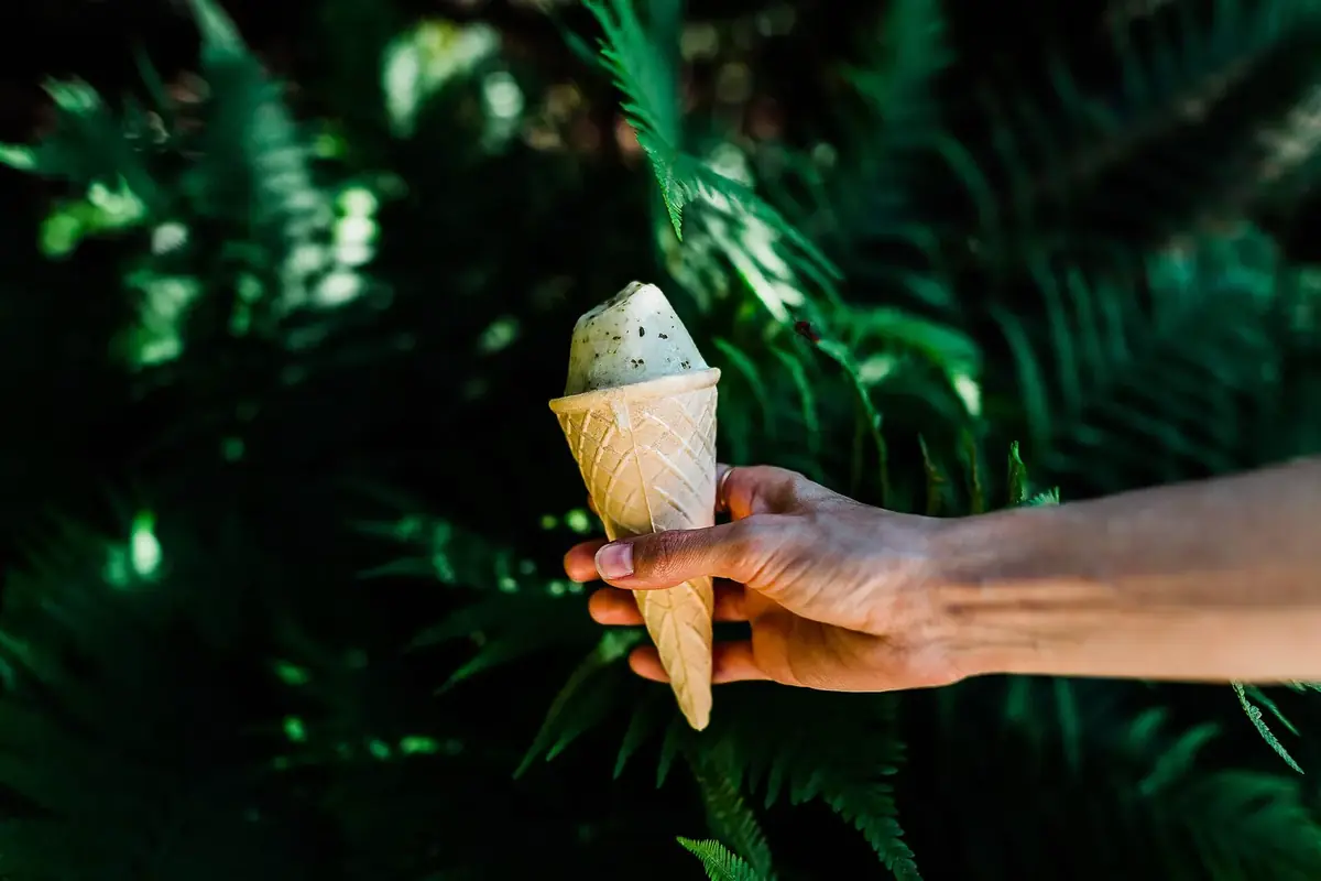 A hand holding a cone of pale green mint chocolate chip ice cream in front of dark ferns
